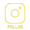 Follow Dan The Human on Instagram